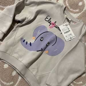 NWT Zara sweatshirt
